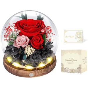 Preserved Roses in Glass Dome with LED Light