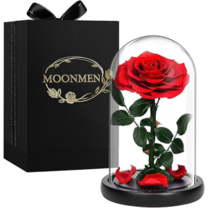 Moonmen Large-size Forever Rose 23 * 14cm